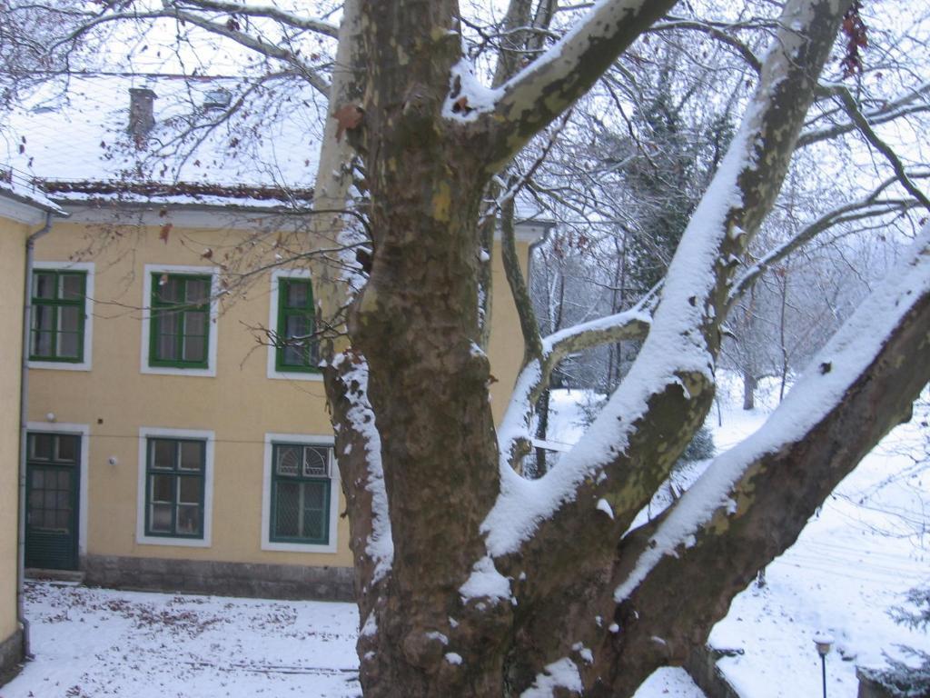 Mater Salvatoris House Hotell Gödöllő Eksteriør bilde